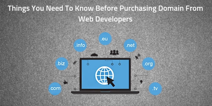 Things You Need To Know Before Purchasing Domain From Web Developers.jpg
